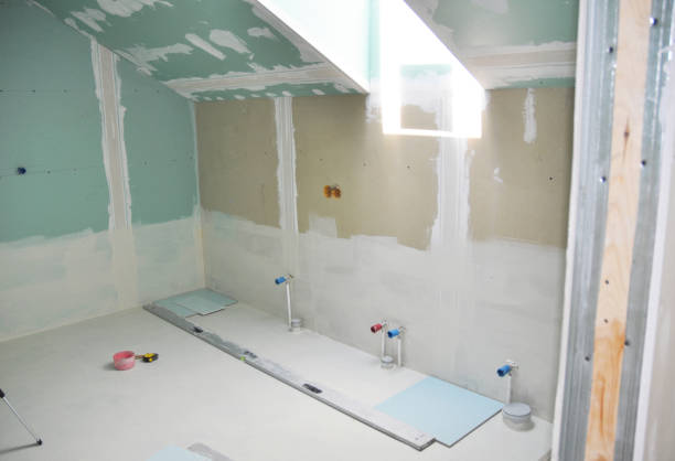 Best Crawl Space Mold Remediation  in Genesee, CO
