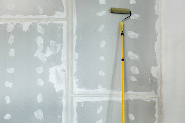 Best Air Quality Testing for Mold Spores  in Genesee, CO