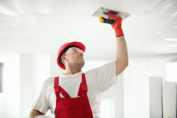 Genesee, CO Mold Removal Company